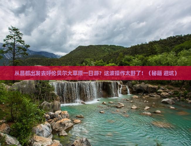 昌都去内蒙呼伦贝尔大草原一日游