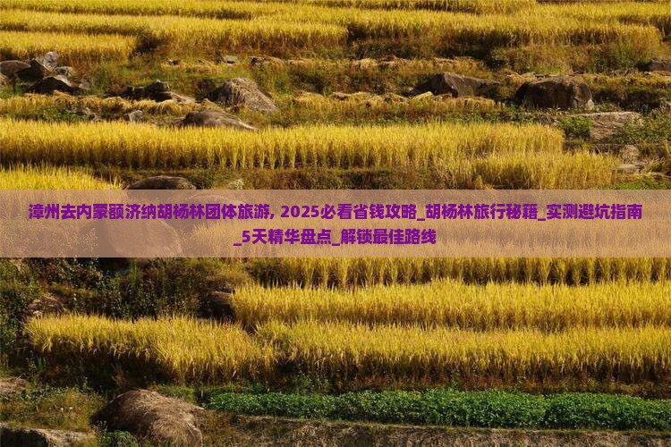 漳州去内蒙额济纳胡杨林团体旅游