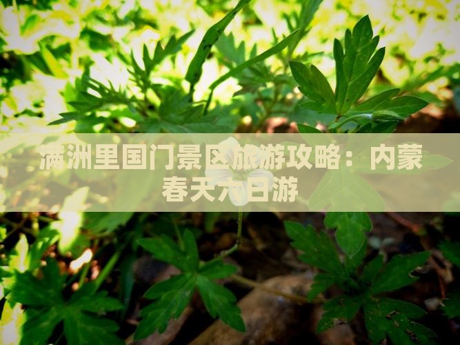 春天到内蒙满洲里国门景区六日游
