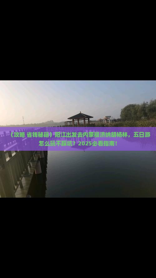 阳江去内蒙额济纳胡杨林五日游