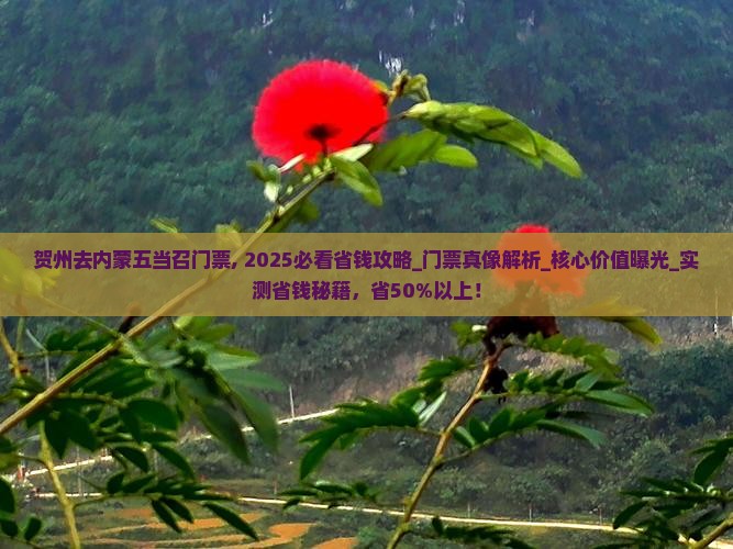 贺州去内蒙五当召门票