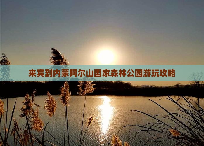 来宾到内蒙阿尔山国家森林公园哪里玩
