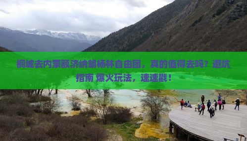 桐城去内蒙额济纳胡杨林自由团