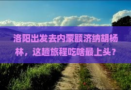 洛阳到内蒙额济纳胡杨林旅游小吃