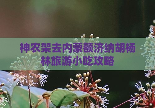 神农架去内蒙额济纳胡杨林旅游小吃