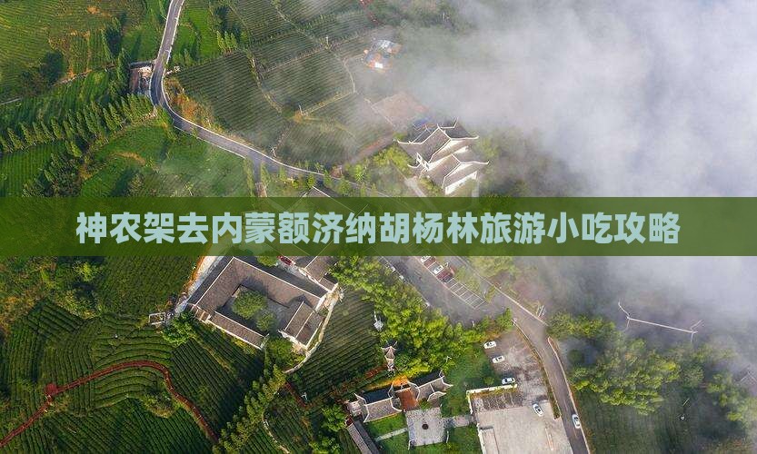 神农架去内蒙额济纳胡杨林旅游小吃