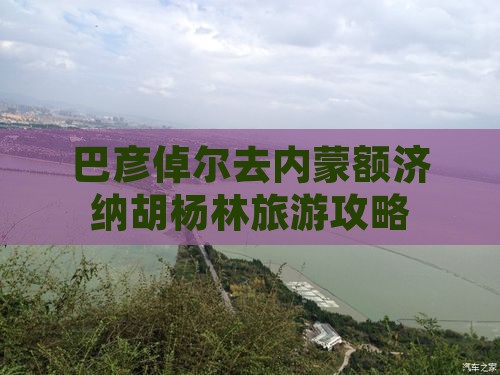 巴彦倬尔去内蒙额济纳胡杨林大型旅游团