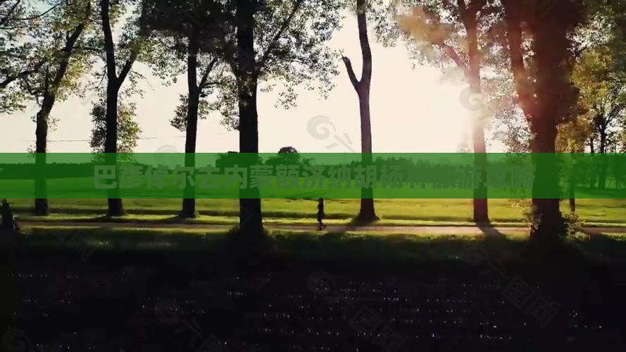 巴彦倬尔去内蒙额济纳胡杨林大型旅游团