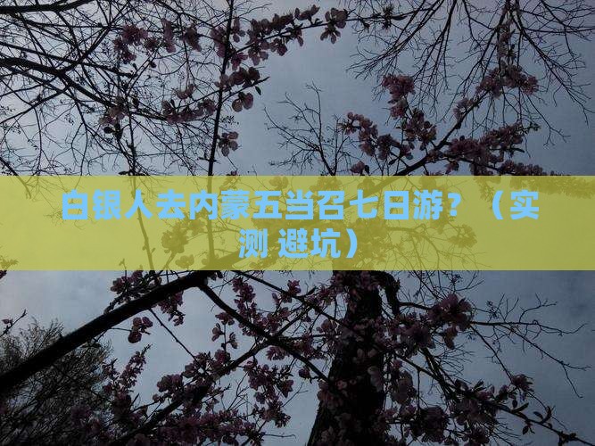 白银去内蒙五当召七日游