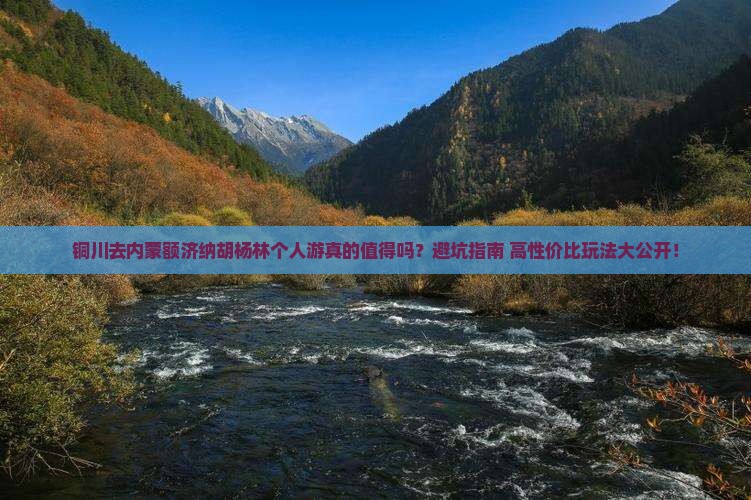 铜川去内蒙额济纳胡杨林个人游