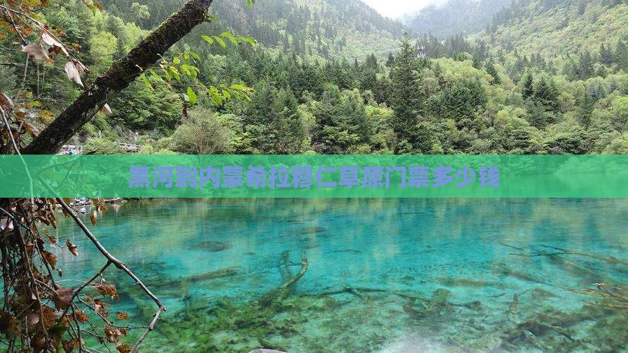 黑河到内蒙希拉穆仁草原门票