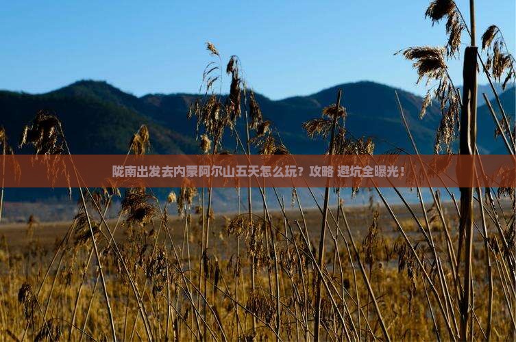 陇南到内蒙阿尔山国家森林公园五日游