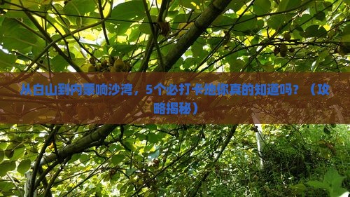 白山到内蒙响沙湾必去地