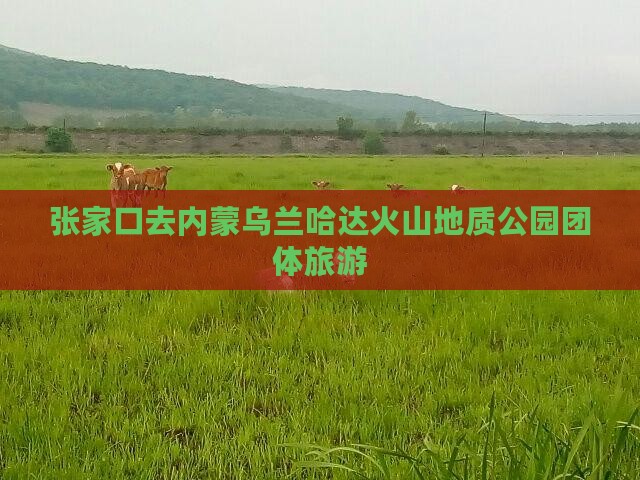 张家口去内蒙乌兰哈达火山地质公园团体旅游