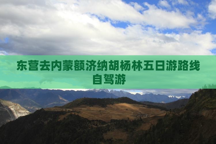 东营去内蒙额济纳胡杨林五日游