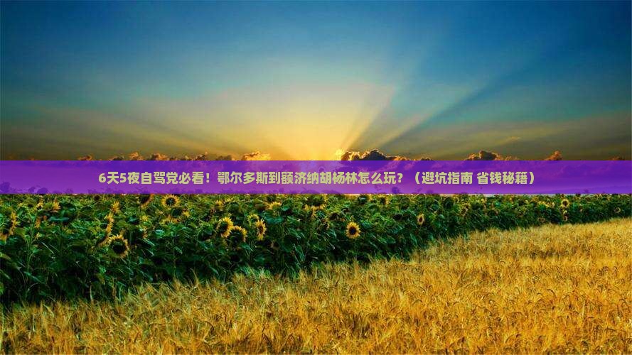 鄂尔多斯到内蒙额济纳胡杨林六日游