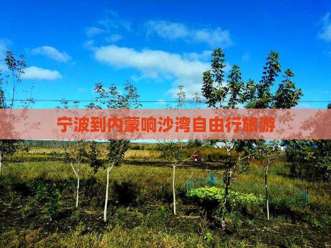宁波到内蒙响沙湾自由行