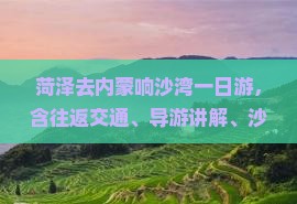 菏泽去内蒙响沙湾一日游