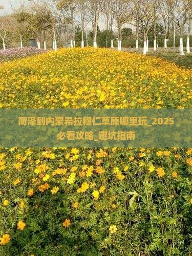 菏泽到内蒙希拉穆仁草原哪里玩