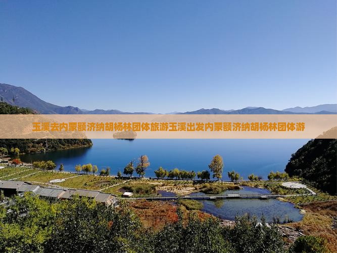玉溪去内蒙额济纳胡杨林团体旅游