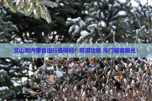 文山到内蒙自由行