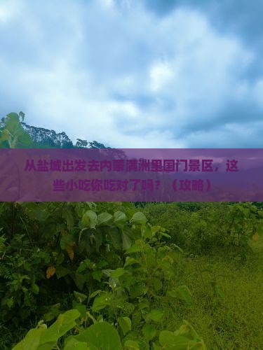 盐城去内蒙满洲里国门景区旅游小吃