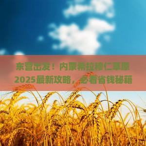 东营到内蒙希拉穆仁草原必去地