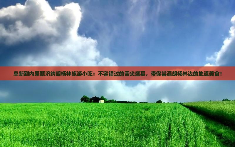 阜新到内蒙额济纳胡杨林旅游小吃