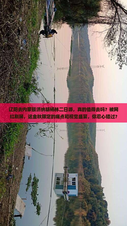 辽阳去内蒙额济纳胡杨林二日游