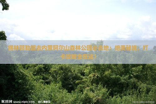 锡林郭勒盟去内蒙阿尔山国家森林公园必去地
