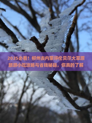 柳州去内蒙呼伦贝尔大草原旅游小吃