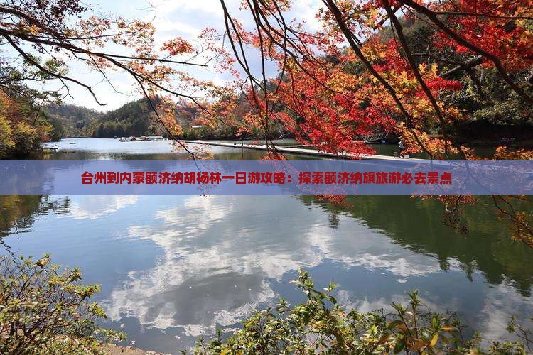 台州到内蒙额济纳胡杨林一日游