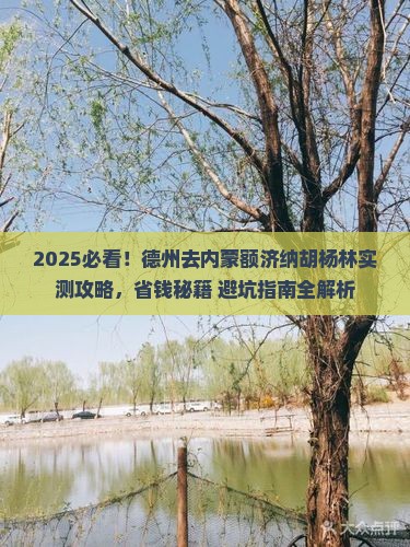德州去内蒙额济纳胡杨林哪里玩
