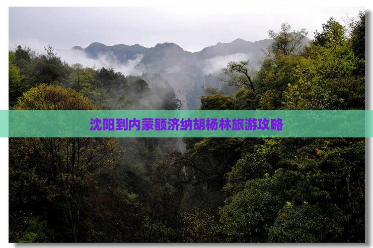 沈阳到内蒙额济纳胡杨林旅行社
