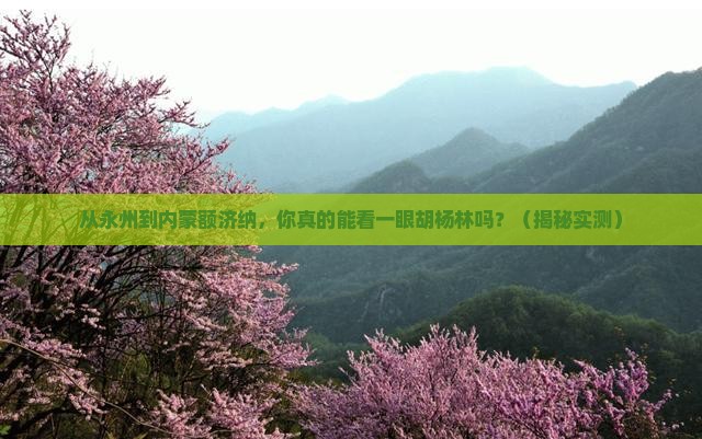 永州到内蒙额济纳胡杨林旅游