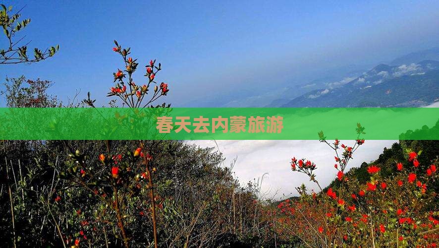 春天去内蒙旅游