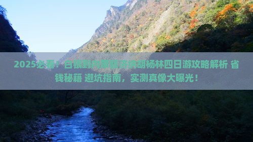 白银到内蒙额济纳胡杨林四日游