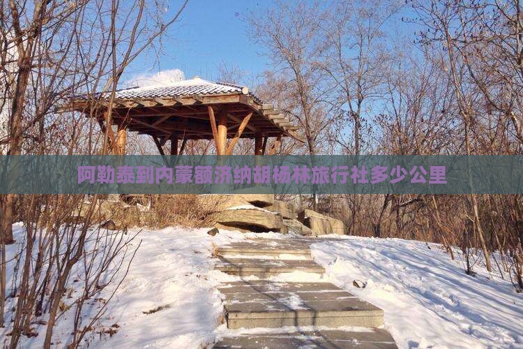 阿勒泰到内蒙额济纳胡杨林旅行社