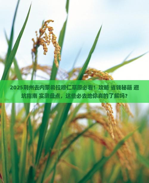 荆州去内蒙希拉穆仁草原必去地 荆州去内蒙希拉穆仁草原必去地