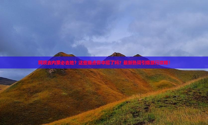 阿坝去内蒙必去地