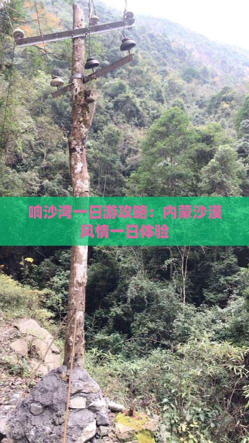 红河到内蒙响沙湾一日游