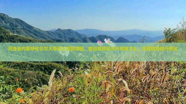 河池去内蒙呼伦贝尔大草原大型旅游团