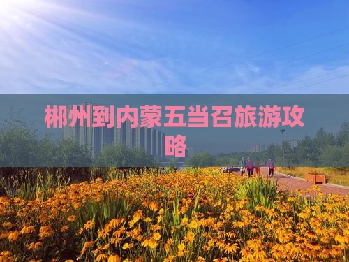 郴州到内蒙五当召旅行社