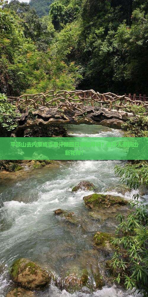平顶山去内蒙成吉思汗陵四日游