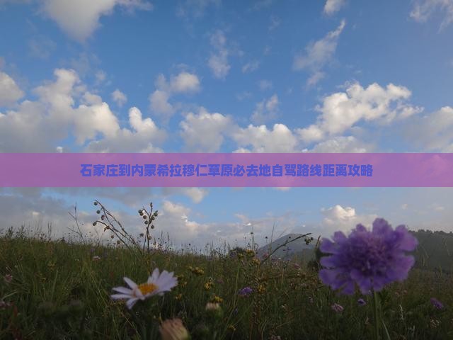石家庄到内蒙希拉穆仁草原必去地