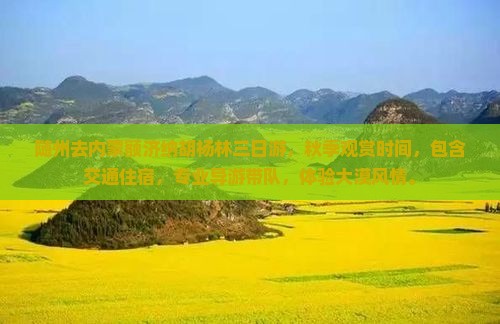 随州去内蒙额济纳胡杨林三日游