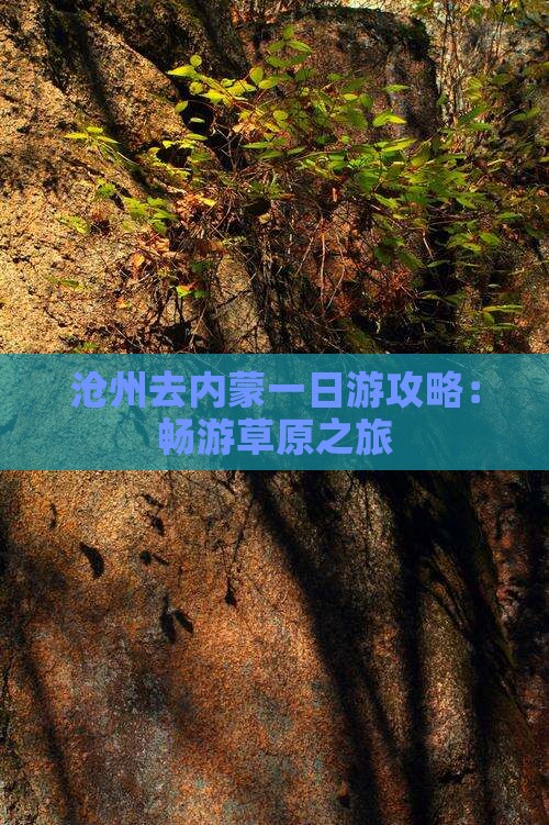 沧州去内蒙一日游