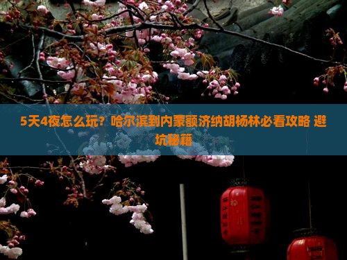 哈尔滨到内蒙额济纳胡杨林五日游