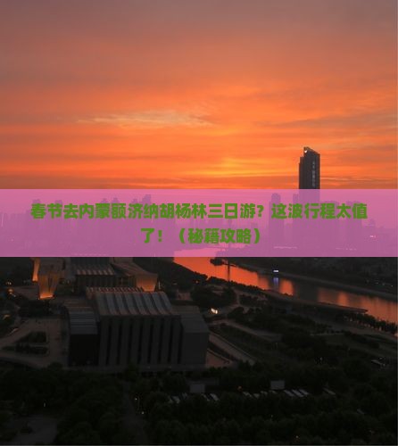 春节去内蒙额济纳胡杨林三日游