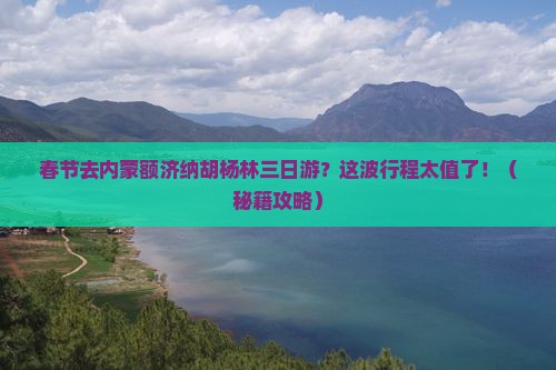 春节去内蒙额济纳胡杨林三日游